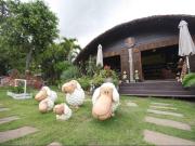 Top Ban Muang Ton Mamuang
