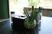 Top Pahāpal