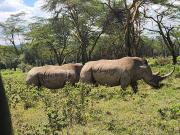 Semadep Village Guest House