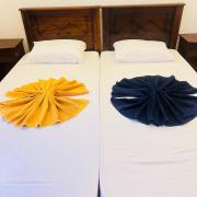 Palms and Paradise Lanka