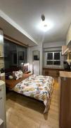 DN property