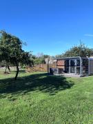 Glamping Pod with Hot Tub in Orchard