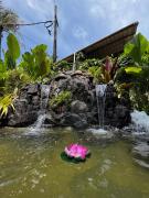 Scarlets Cottage & Tea Garden