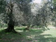 Top Spigno Saturnia