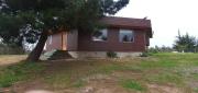 Top Algarrobo