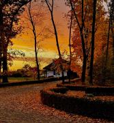 Top Żelazowa Wola Top Żelazowa Wola