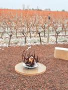 ENTREVID suites & spa