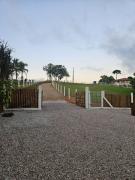 Top São José dos Pinhais