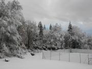 Top Les Carroz d'Araches