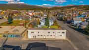 Top Leadville