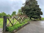 Niko Mamasakhlisi Guest House