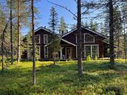 Levinkruunu B Visit Levi