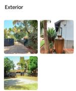 Amani Princely treat Silverton