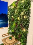 Top Mijas Costa Top Mijas Costa