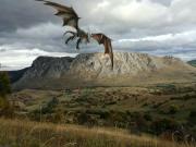 Remote Tiny House Retreat