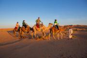 Top Merzouga