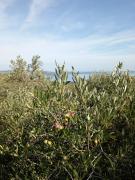 Apartman Bella vista