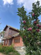 Top Tangmarg