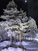 Nordic home top floor apartment