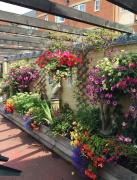 Top Halstead Top Halstead