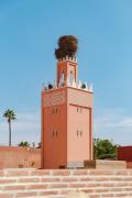 Top Marrakesz