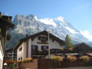 Top Grindelwald