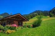 Top Itter