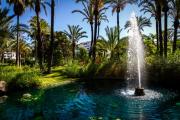 Top Marbella