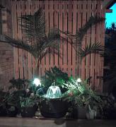 Bunya House at On Burgum Pond