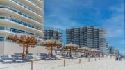 Las Palomas Phase I Topaz 803 Exceptional Oceanview 2BR 2BA Unit