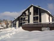 Duplex 2 pièces pour 5 pers - Pieds des pistes - Garage - Près navette - Les Gets - FR-1-802-38