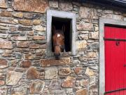 Robins Rest at The Lodge