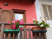 Top Curino Top Curino