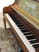 The Hi-Lo, Autograph Collection