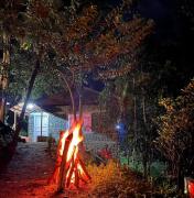 Jungle retreat waterfalls Jungle retreat waterfalls