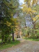 Top Orelec Top Orelec