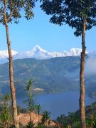 Top Rānīpauwa Top Rānīpauwa