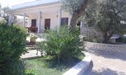 Top Santa Lucia