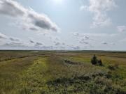 8 person holiday home in Ulfborg