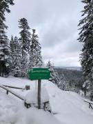 Ferienwohnung Kniebisliebe