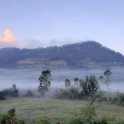 Top Dieng