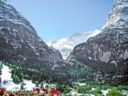 Top Grindelwald