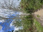 Top Sint Maartensdijk