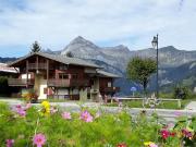 Appartement 4 pers. avec parking, proche pistes, animaux acceptés - FR-1-733-47