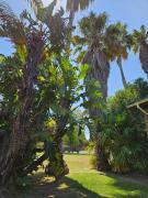 Tranquil Lake Escape - Modern Comfort & Nature