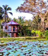 Romantic Jungle Hideaway