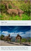 Top Munnar