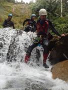 Top Lligua