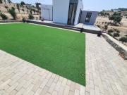 Top Punta Negra