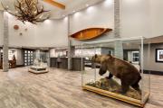 Top Fairbanks